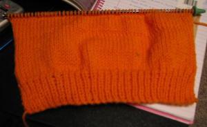 very orange dog sweater, beginning